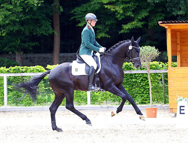 ein Reiter auf einem schwarzen Pferd im Galopp, im Hintergrund steht ein Richterhäuschen aus Holz