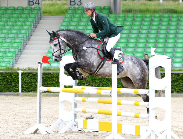 Jungpferdetag Moritzburg