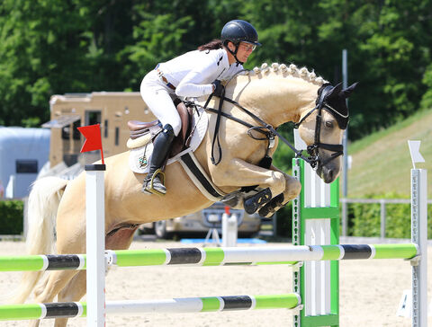 Grando im Landgestüt Moritzburg