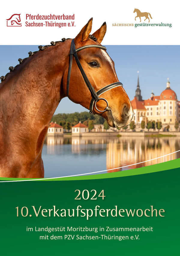 Katalog Verkaufspferde 2023 Moritzburg