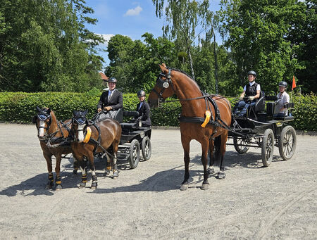 Pferdesporttag Moritzburg 2025