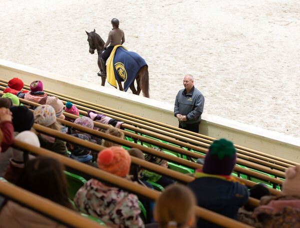 Kinder-Kunst-Tag im Landgestüt Moritzburg