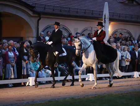 Musik und Hengste 2022