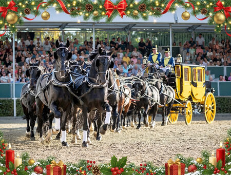 Weihnachtsaktion Hengstparaden 2026 - zum Beitrag