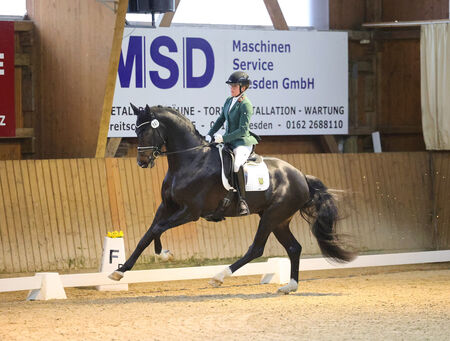 LORD ROMANCE siegreich in Gompitz - zum Beitrag