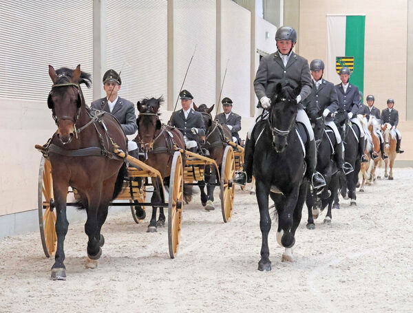 Quadrille geritten und gefahren 