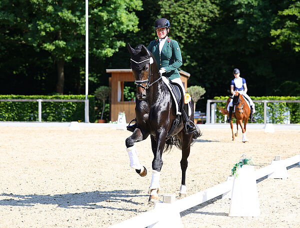 zwei Reiter im Galopp