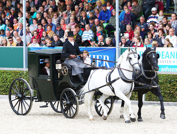 historische Kutschen zu den Moritzburger Hengstparaden - Stadtcoupé