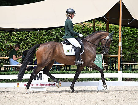 Nala im Finale zum DSP-Championat platziert - zum Beitrag