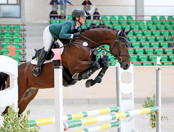 Jungpferdetag Reithalle Moritzburg