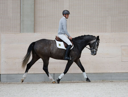 Gelungene Auftaktveranstaltung in die Verkaufspferdewoche 2026 - zum Beitrag