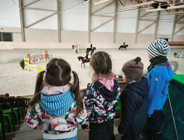 Erstes Jungpferdeturnier Reithalle Moritzburg