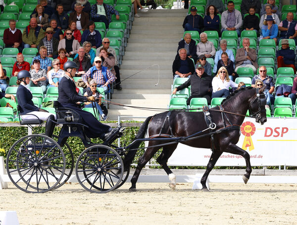 Moritzburger Championatstage 2025
