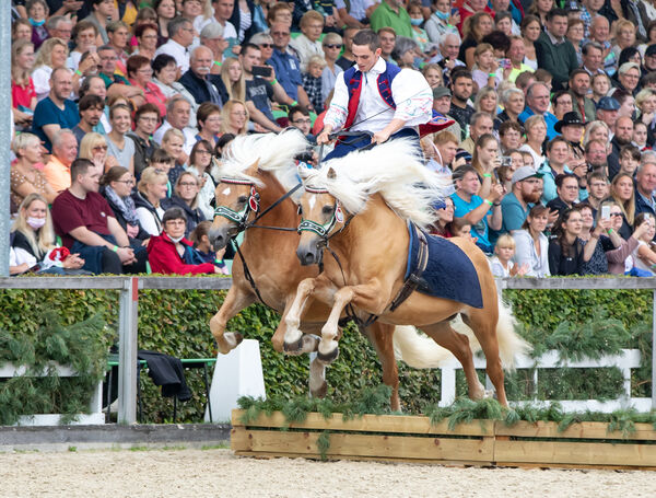 Erste Moritzburger Hengstparade 2021