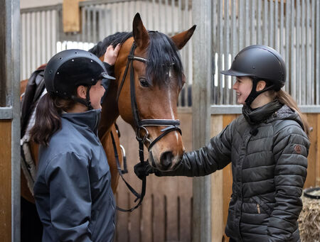 Präsentation der Verkaufspferde am 11. April - zum Beitrag