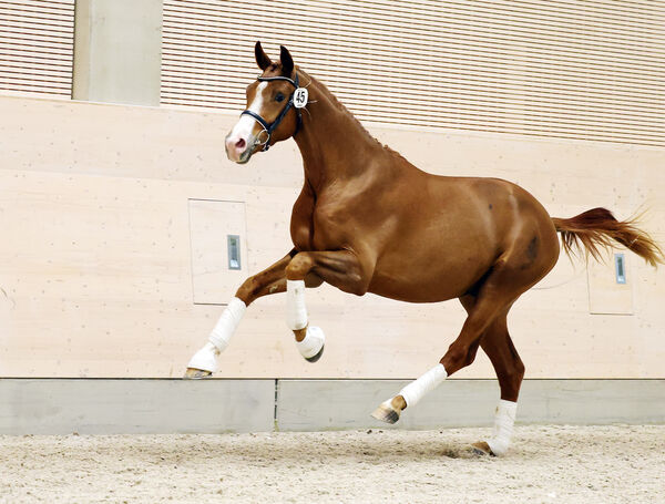 Neuzugang Zooming Point v. Zoomaton