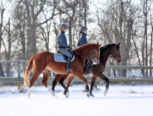Zwei Reiterinnen traben nebeneinander durch den Schnee