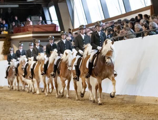 Hengstpräsentation Moritzburg