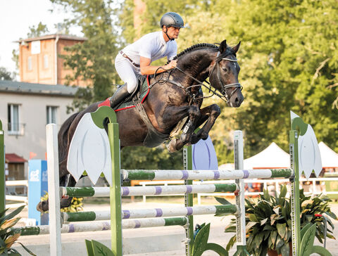 Landgestüt Moritzburg Hengste im Sport