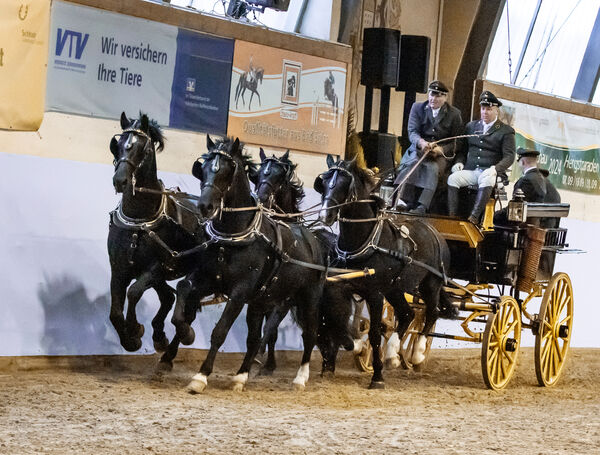 Hengstpräsentation Moritzburg