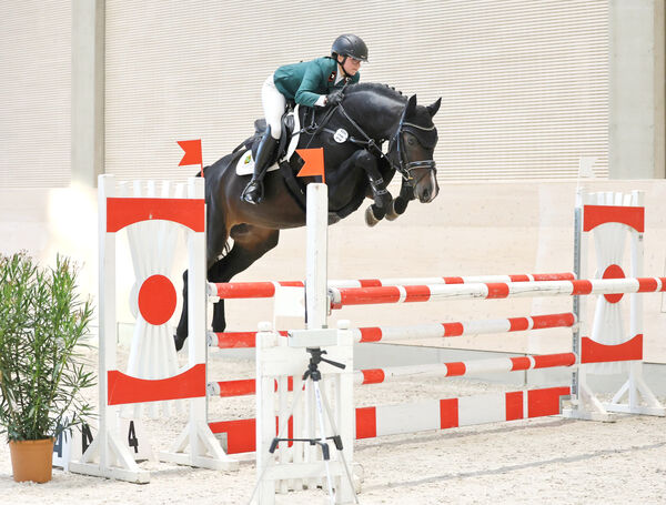 Jungpferdetag Reithalle Moritzburg