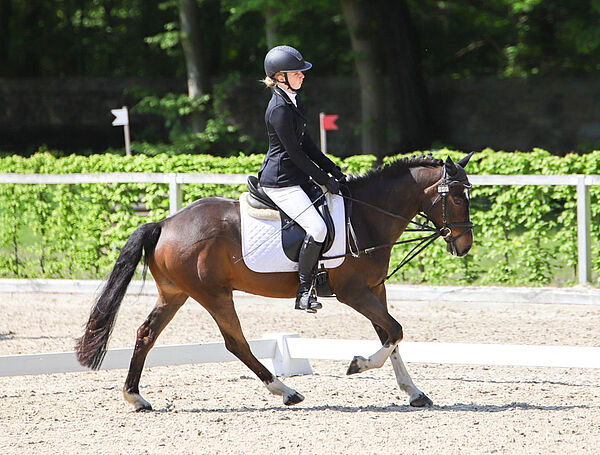 Das Bild zeigt ein Mädchen auf einem braunen Pony im Dressurviereck.