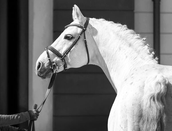 Nachruf Last Man Standing