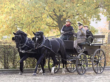 Fahrlehrgang