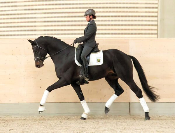 KENSINGTON PALACE unter GOW'n Linda Casper