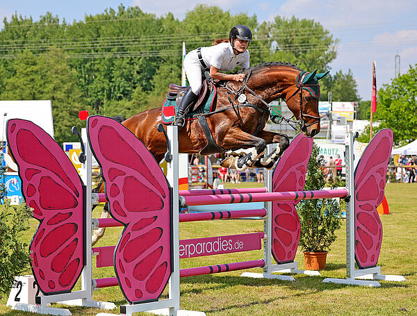 Reiter und Pferd am Sprung