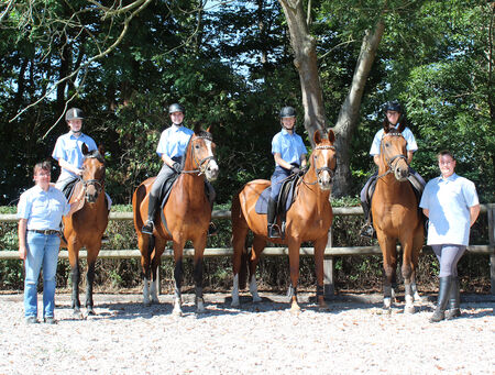 Ausbildung Pferdewirt Hauptgestüt Graditz