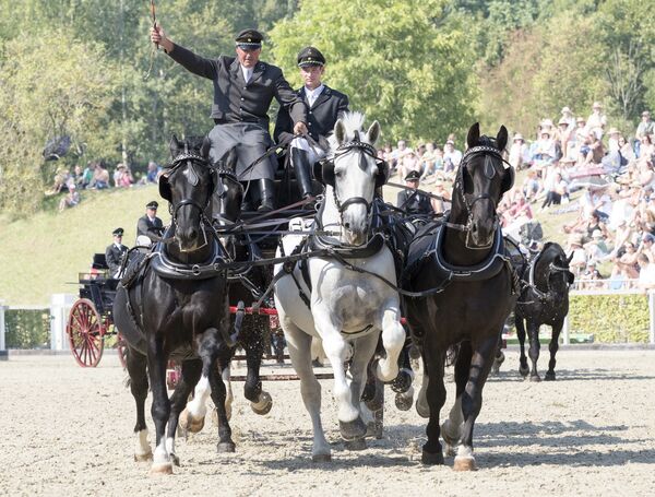 Carriage at Moritzburg Stallion Parades - opens page