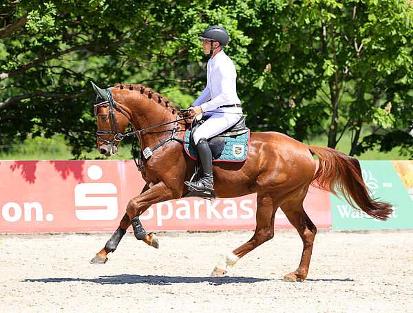 Reiter und Pferd im Galopp