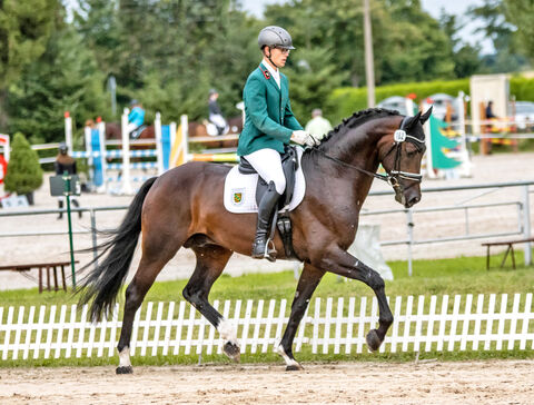Don Plaisier im Landgestüt Moritzburg
