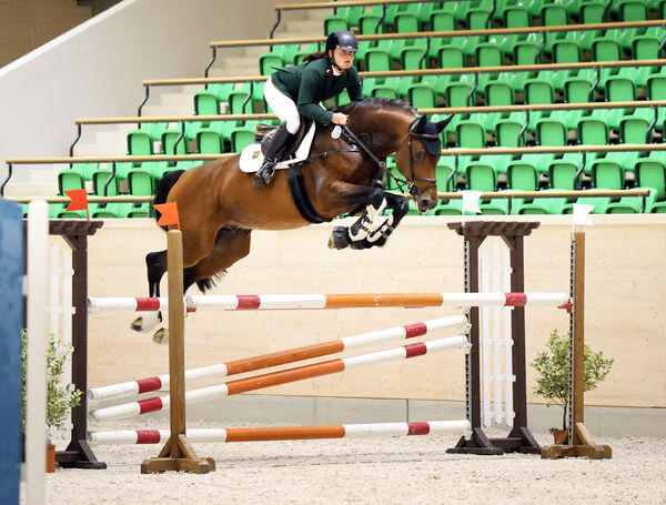 Jungpferdetag Reithalle Moritzburg