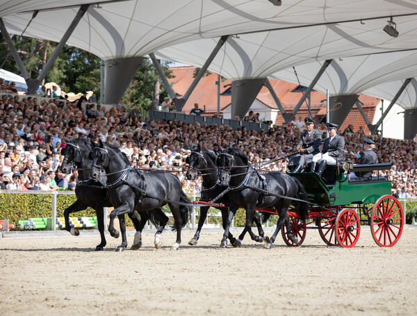Moritzburger Hengstparade 2025