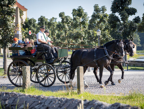 Kindertag Landgestüt Moritzburg 2025