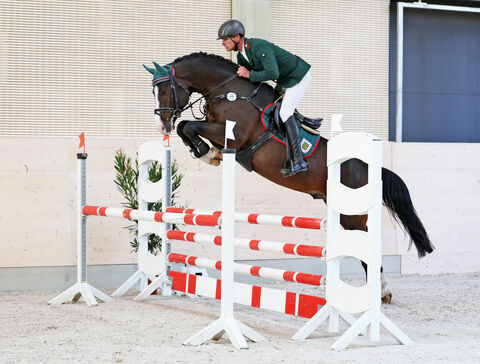 Jungpferdetag Reithalle Moritzburg