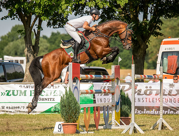 Springturnier Löbnitz Lausitzer