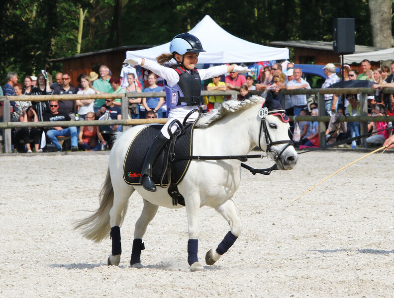 Zweite Gestütsschau im Hauptgestüt Graditz SGV Sächsische