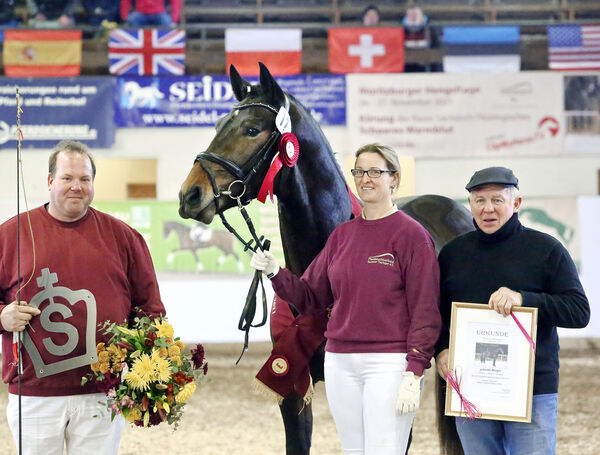 Lancelot Moritzburger Hengsttage 2021