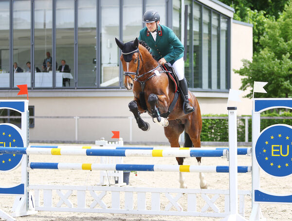 Jungpferdetag Moritzburg