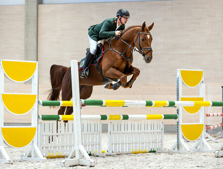 ATLANTIX v. Aganix du Seigneur wird Landbeschäler - zum Beitrag