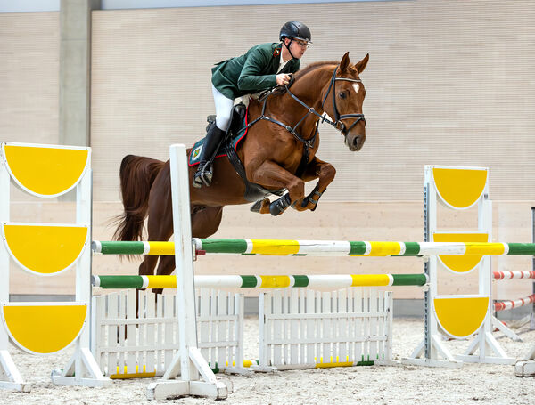 ATLANTIX v. Aganix du Seigneur - Contender im Springtraining