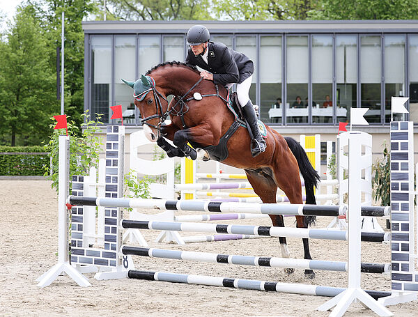 Pferd und Reiter am Sprung
