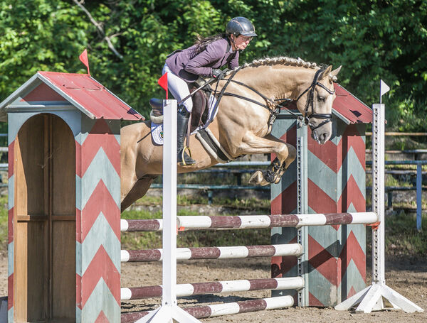 GRANDO mit Ellen Kölz - Landgestüt Moritzburg