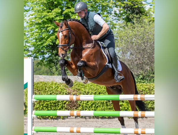 Züchtertag Landgestüt Moritzburg