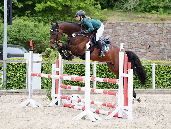 Pferd und Reiter am Sprung