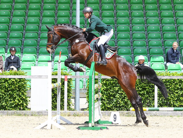 Jungpferdetag Moritzburg