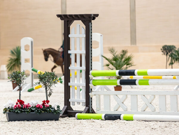 Hindernisparcours, im Hintergrund läuft ein Pferd